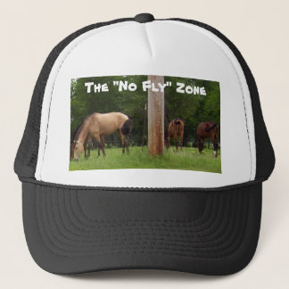 The "No Fly" Zone Hat