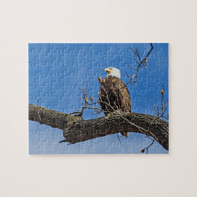 The Noble Bald Eagle Jigsaw Puzzle (Horizontal)
