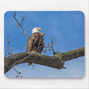 The Noble Bald Eagle Mouse Mat