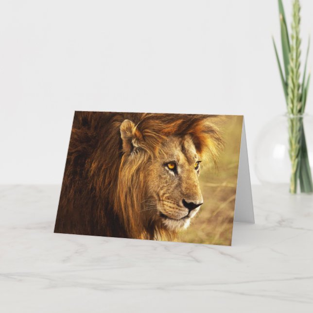 The Noble Lion Photograph Card (Front)