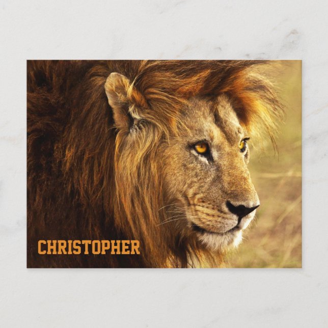 The Noble Lion Photograph Postcard (Front)