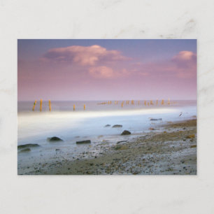 "The Norfolk Coast" postcards