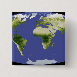 The Normalised Difference Vegetation Index 15 Cm Square Badge