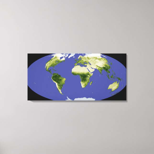 The Normalised Difference Vegetation Index Canvas Print (Front)