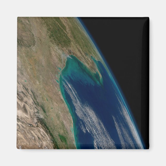 The Northern Gulf Of Mexico. Magnet (Front)