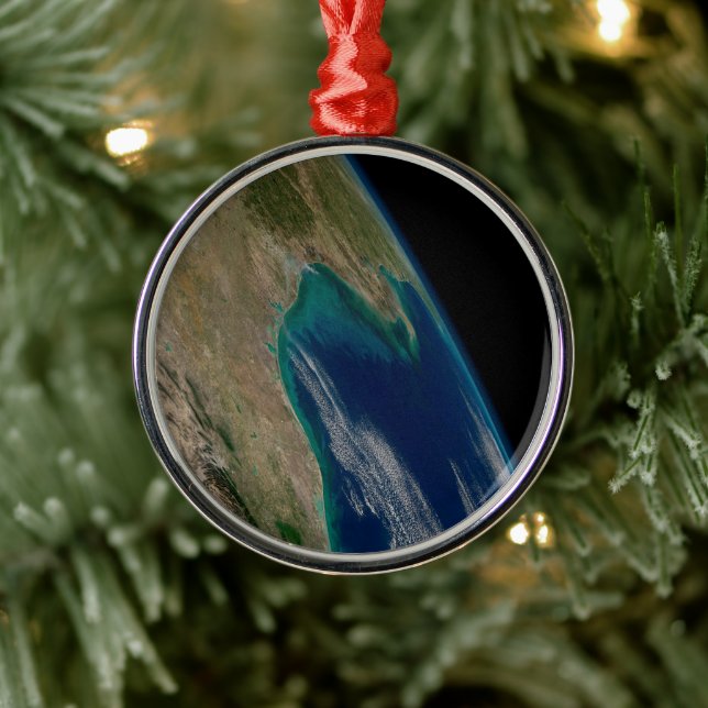 The Northern Gulf Of Mexico. Metal Tree Decoration (Tree)