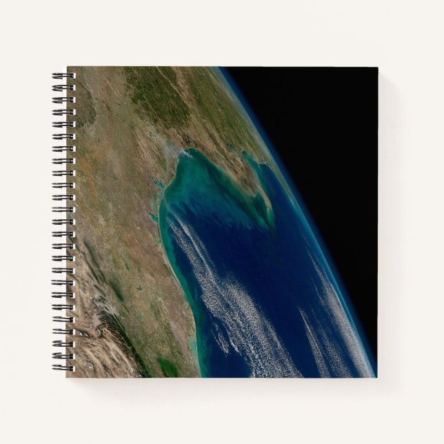 The Northern Gulf Of Mexico. Notebook (Front)