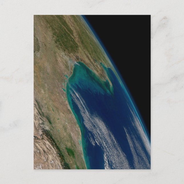 The Northern Gulf Of Mexico. Postcard (Front)