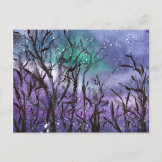 The Northern Light & The Starlit Trees Postcard
