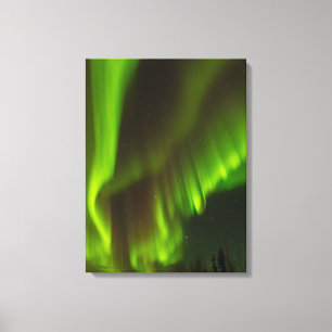 The Northern Lights Fairbanks, Alaska Canvas Print