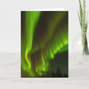 The Northern Lights   Fairbanks, Alaska Card
