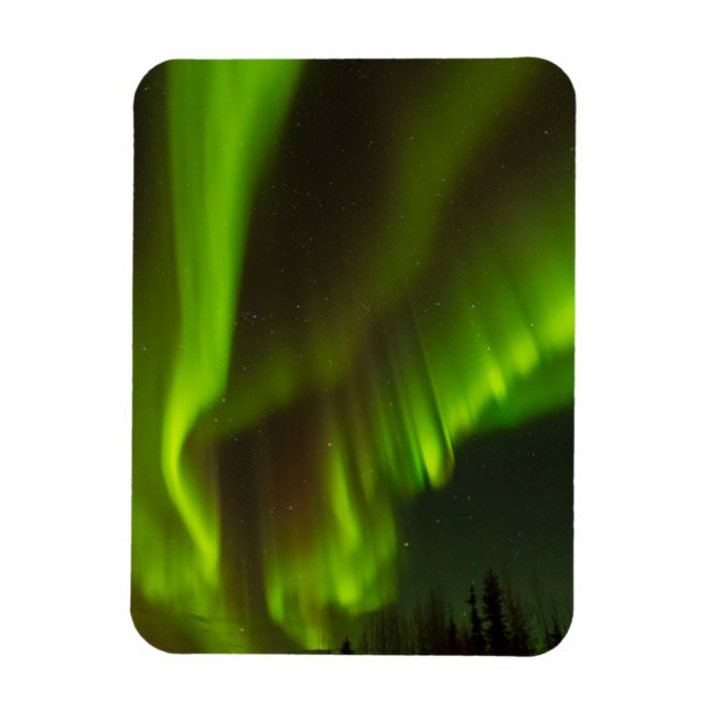 The Northern Lights | Fairbanks, Alaska Magnet (Vertical)