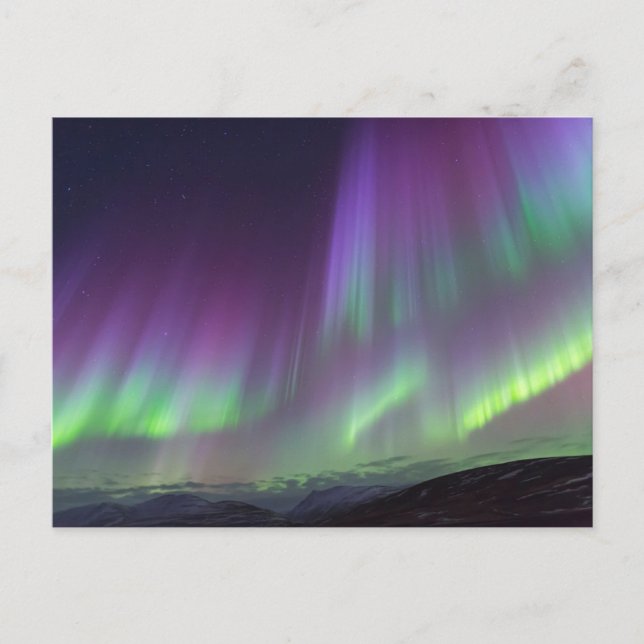 The Northern Lights | North Iceland Postcard (Front)
