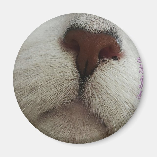The Nose Knows Cat Nose #1 magnet (Front)