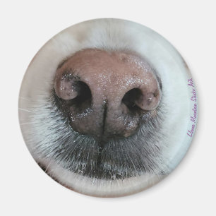 The Nose Knows Dog Nose #1 magnet
