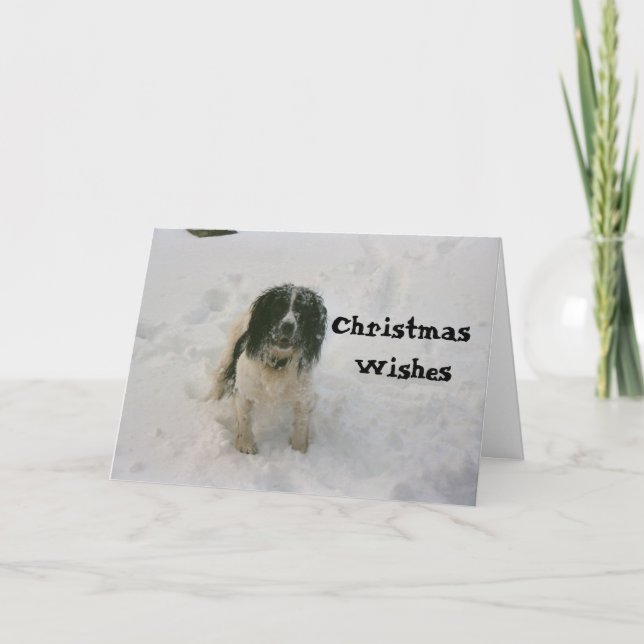 The Nowzad Dogs Christmas Card (1) (Front)