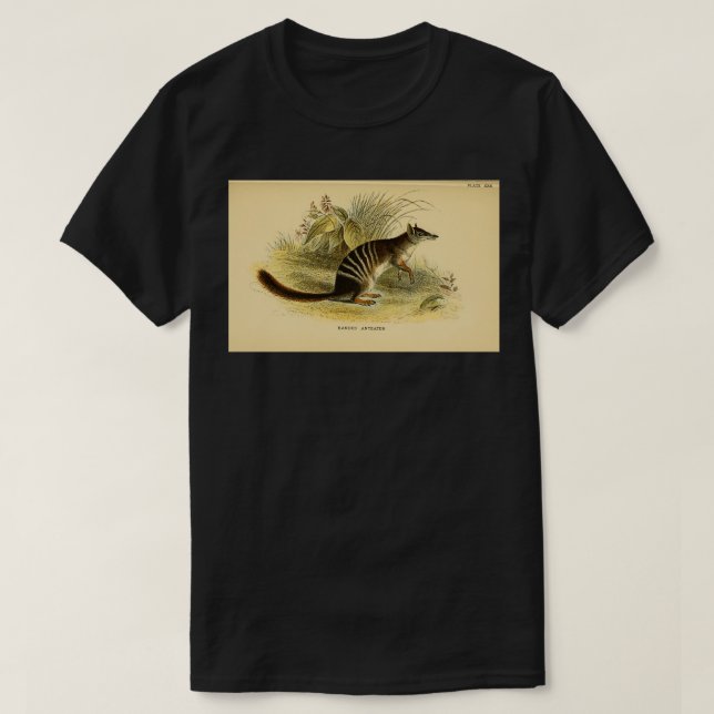 The numbat Myrmecobius fasciatus Here as Banded An T-Shirt (Design Front)