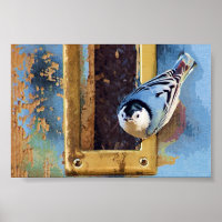 The Nuthatch