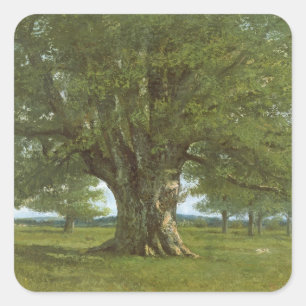 The Oak of Flagey, called Vercingetorix Square Sticker