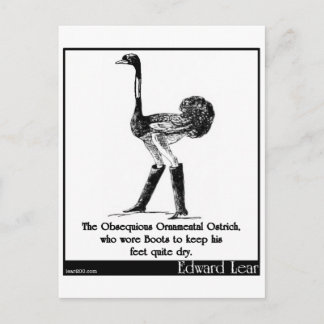 The Obsequious Ornamental Ostrich Postcard