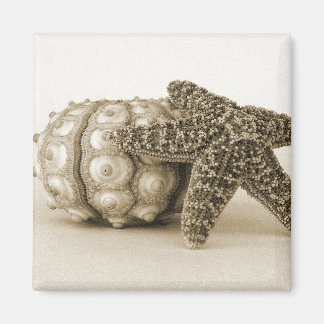 The Odd Couple Magnet (Front)