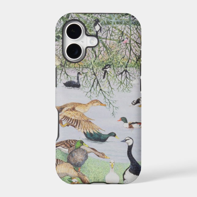The Odd Duck (Back)