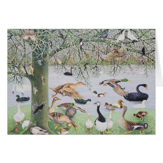 The Odd Duck (Front Horizontal)