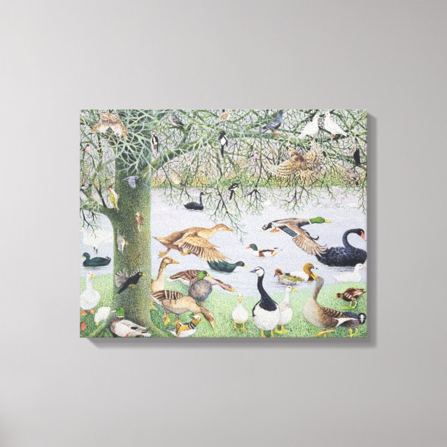 The Odd Duck Canvas Print (Front)