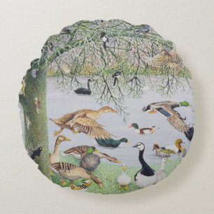 The Odd Duck Round Cushion