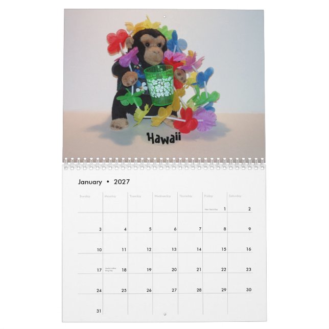 The Official Pet Monkey Calendar (Jan 2027)