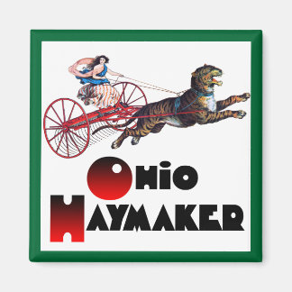 The Ohio Haymaker Magnet