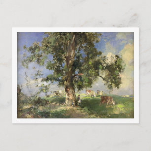 The Old Ash Tree (oil on canvas) Postcard