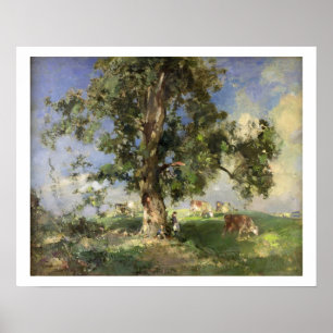 The Old Ash Tree (oil on canvas) Poster