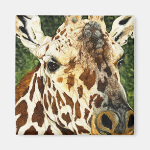The Old Bachelor Giraffe Magnet