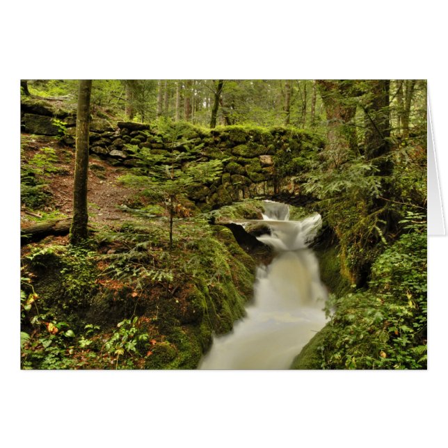 the old bridge of Grusarte (Front Horizontal)