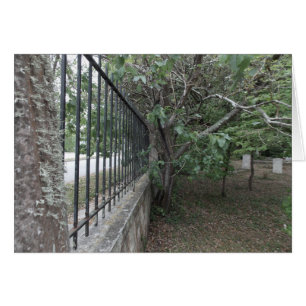 The Old Burying Ground