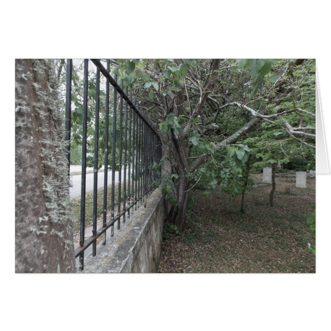 The Old Burying Ground (Front Horizontal)