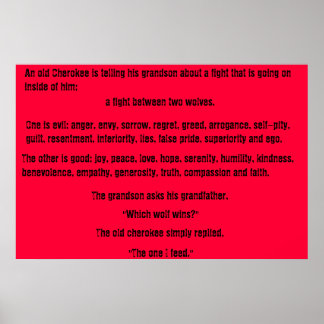 The Old Cherokee Poster