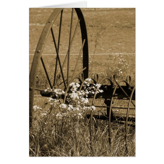 The Old Days (Front)