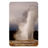 THE OLD FAITHFUL GEYSER IN YELLOWSTONE PARK