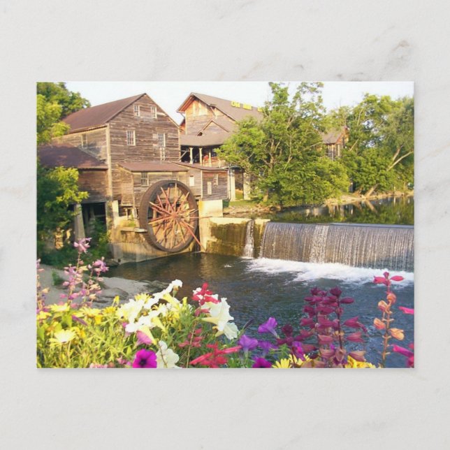 The Old Mill Postcard (Front)