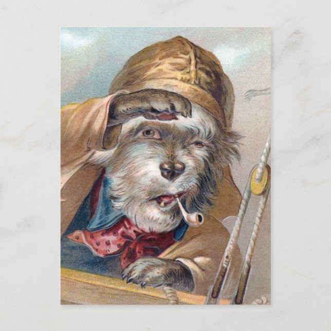 "The Old Sea Dog" Vintage Postcard (Front)