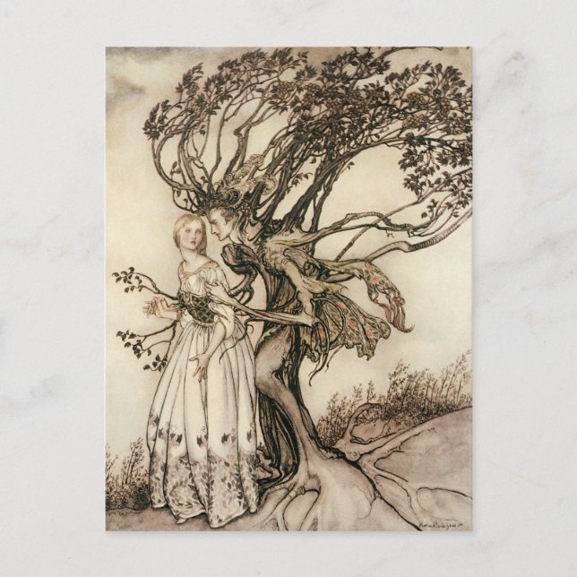 The Old Woman in the Wood by Arthur Rackham Postcard (Front)