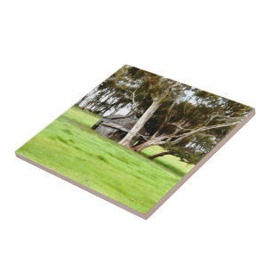 The Old Wooden Shack Ceramic Tile