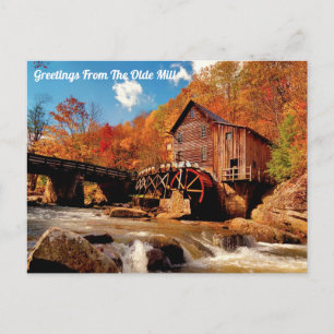 The Olde Mill Postcard