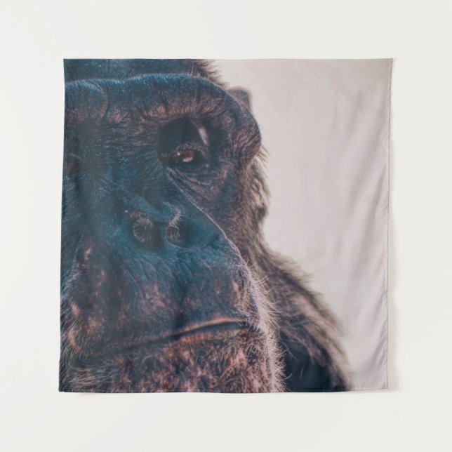 THE OLDEST CHIMPANZEE TAPESTRY (Front)