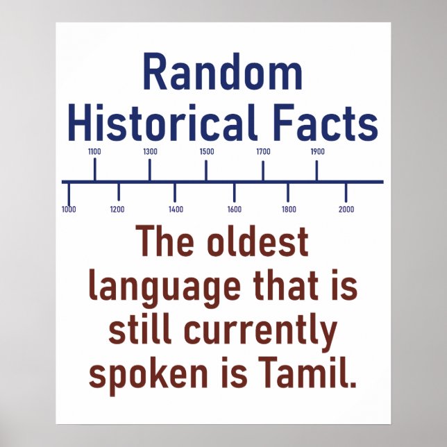The Oldest Language - History Fact Poster (Front)