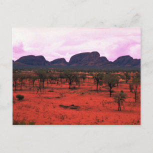 The Olgas in the distance, Australia Desert Postcard