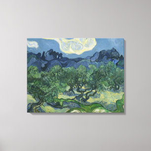 The Olive Trees - Van Gogh Canvas Print
