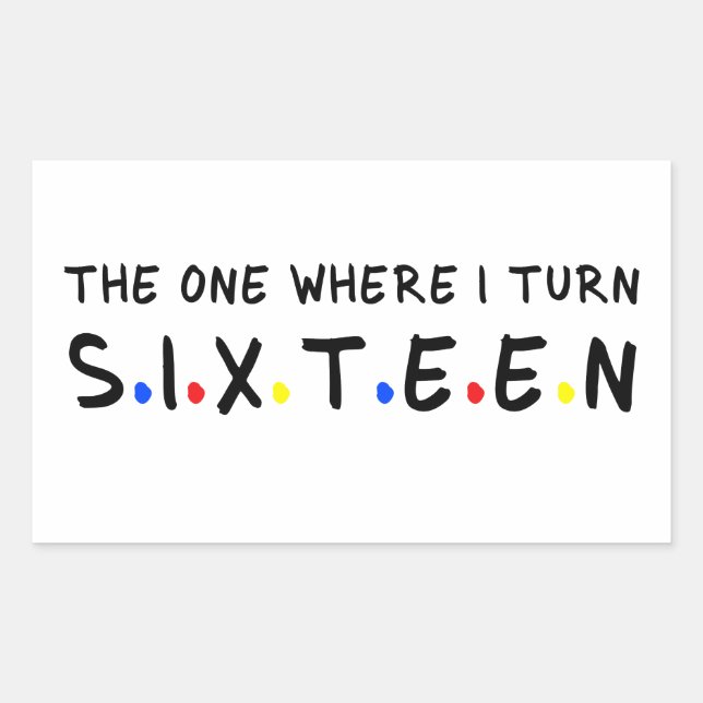 The One Where I Turn to Sixteen 16 Years Old 16th Rectangular Sticker (Front)